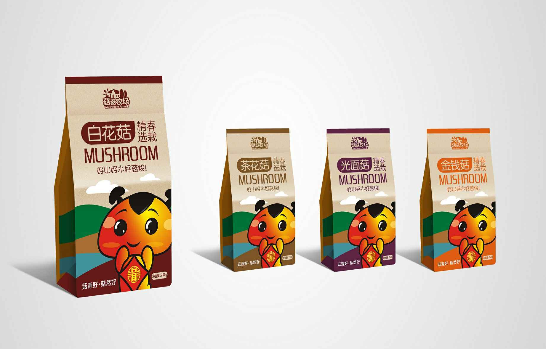 成都健行经典文化推广有限公司包装设计（食品包装设计）的五项基本原则